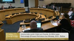 Committee Appearance